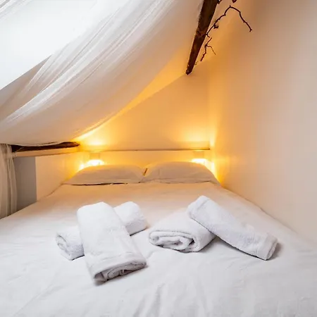 La Reverie Des Ducs Au Coeur De Digione