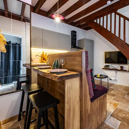 La Reverie Des Ducs Au Coeur De Apartment Dijon