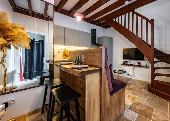 La Rêverie Des Ducs Au Cœur De Appartement Dijon